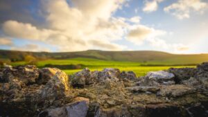 The South Downs and Firle Beacon in the distance.